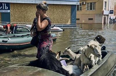 How to comfort a pet in a war zone? Advice from animal psychologists